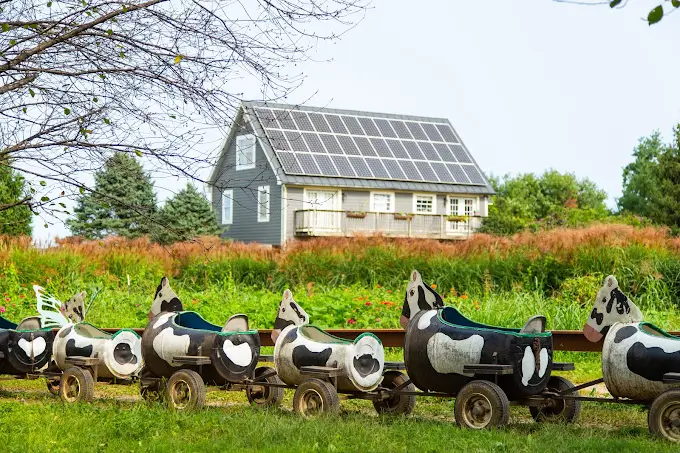 Great-Country-Farms-Bluemont-VA