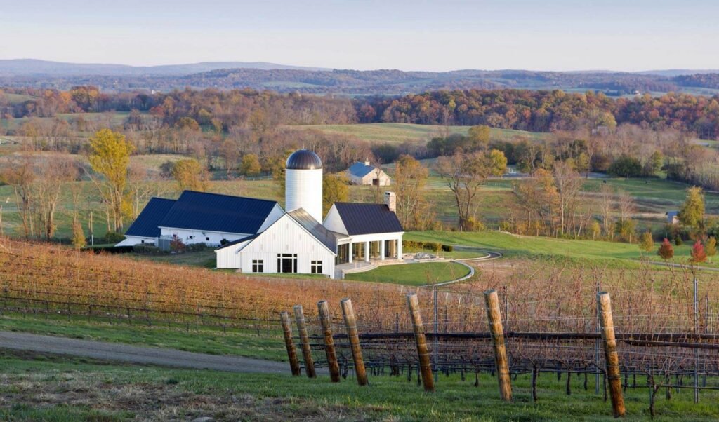 RdV Vineyards (Virginia)