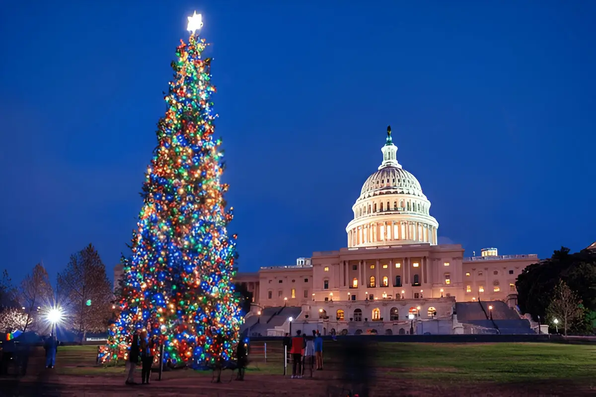 National Harbor’s Tree Night Light Event